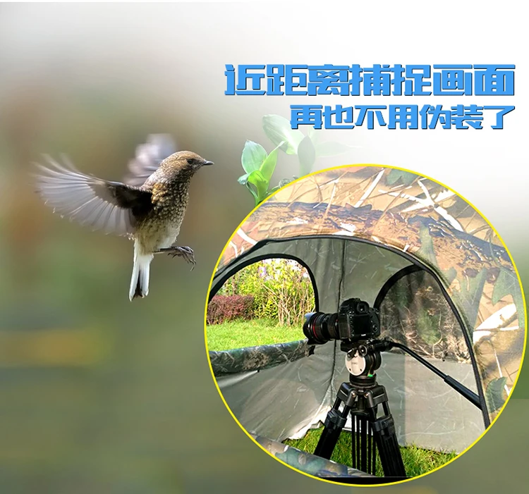 Tienda de observación de aves  - Fishing Equipment Needed reseña y precio